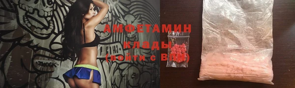 гашик Алексеевка