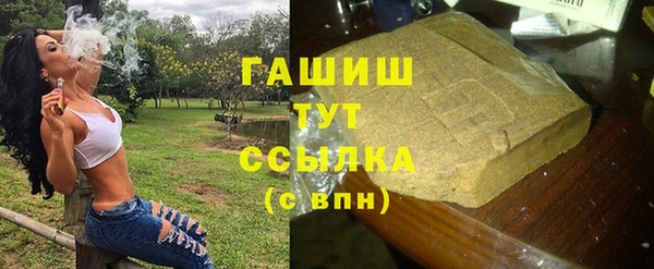 гашик Алексеевка