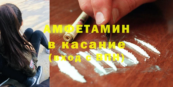 гашик Алексеевка
