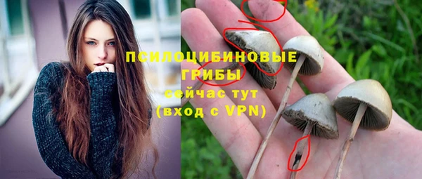 гашик Алексеевка