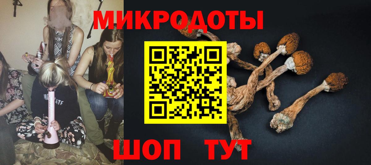Галлюциногенные грибы Psilocybine cubensis  Галлюциногенные грибы MAGIC MUSHROOMS  Вход с VPN  Алушта 